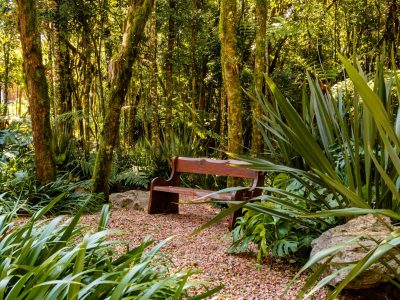 WhatsApp Image 2026-02-28 at 20.14.15