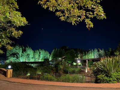 WhatsApp Image 2026-02-28 at 20.14.23